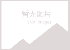 威海环翠冰夏化学有限公司